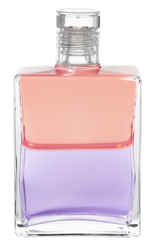 B118 - Corail clair / Violet clair - Echo